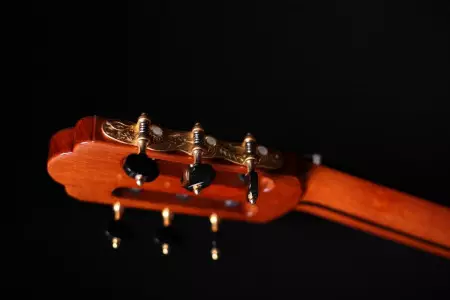 رنگبندی و انواع گیتار ریموندو bn